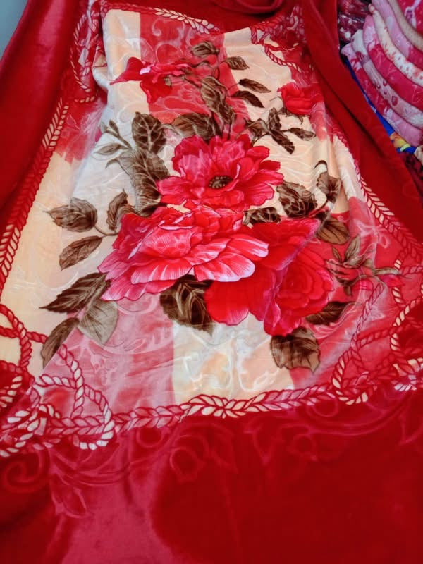 Solaron Korean Technology mink blanket